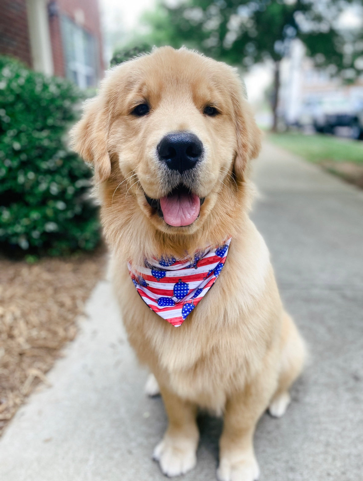 4th of July Bandana Knotties Headbands